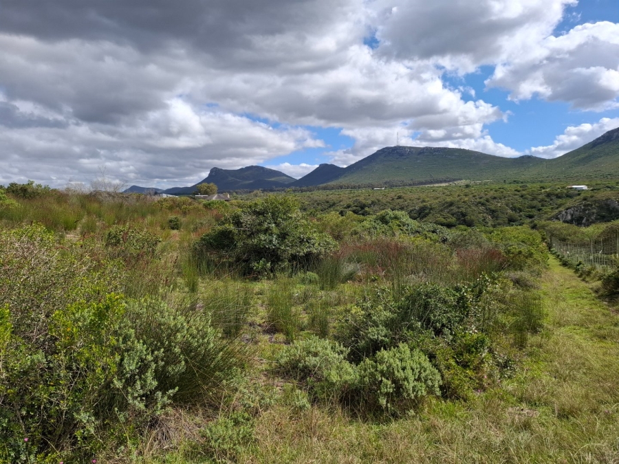 4 Bedroom Property for Sale in Albertinia Western Cape